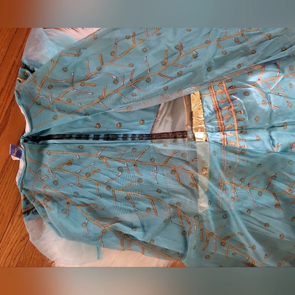 Disney Princes Jasmin Costume 👑🕌🧞‍♂️ - Picture 12 of 16